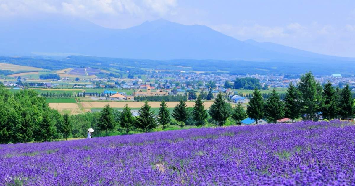 Blue Pond, Shirogane Falls, Shikisai-no-oka, Miyama Pass, & Flower